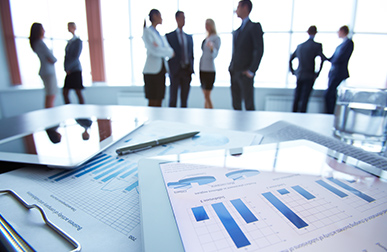 Consolidated Financial Highlight